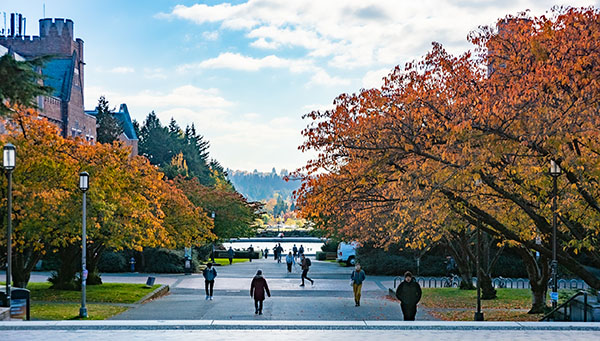 Rainier Vista with fall leaves